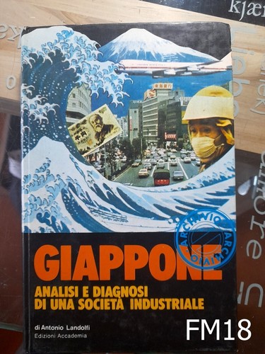 Giappone analisi diagnosi - diagnosi, di