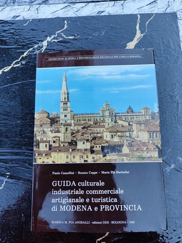 Libro guida culturale - libro,guida,